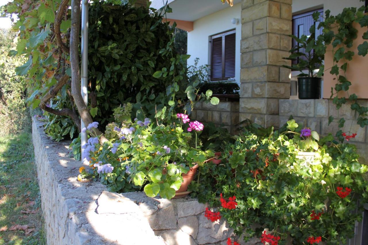 Family Friendly Seaside Apartments Kozino, Zadar - 5749 เพทรอซาเน ภายนอก รูปภาพ